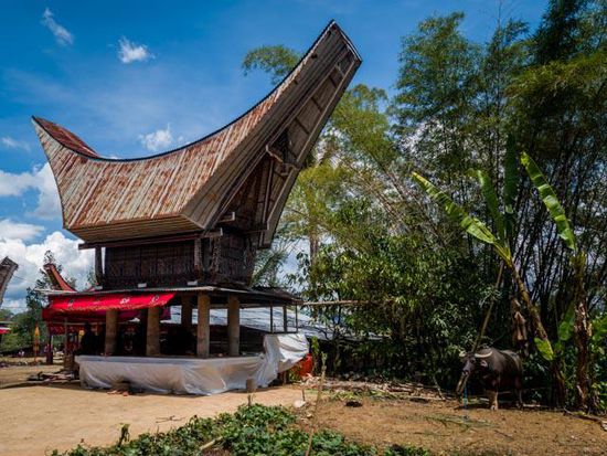 Beerdigung, Toraja