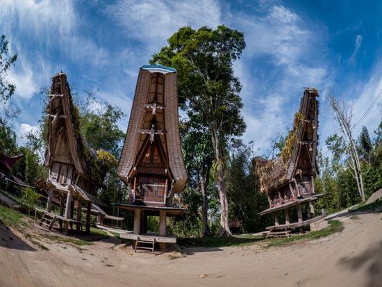 Toraja Village