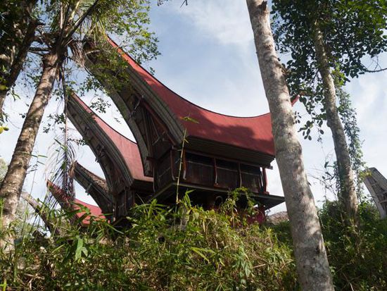 Toraja Village