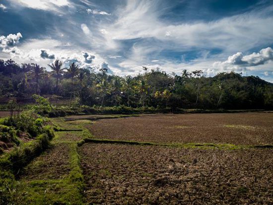 Toraja