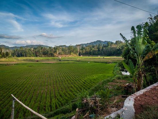 Toraja