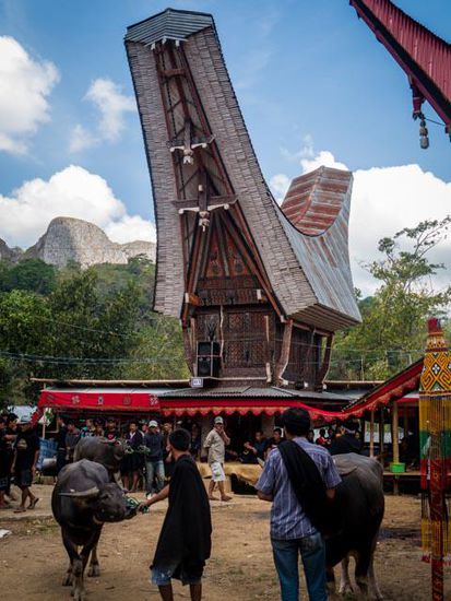 Beerdigung, Toraja