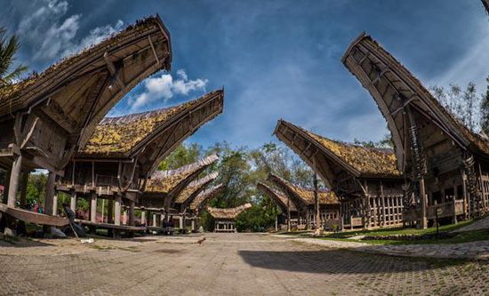 Toraja Village