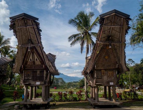 Toraja Village
