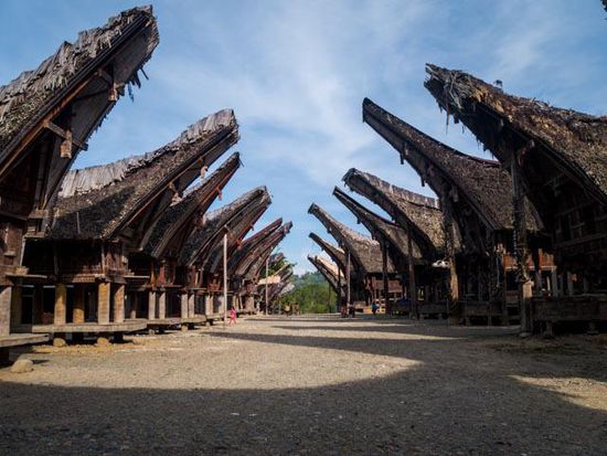 Toraja Village