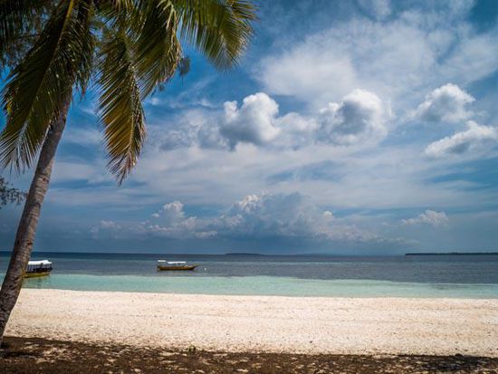 Strand Bira