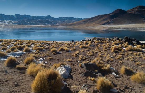 Laguna Miniques