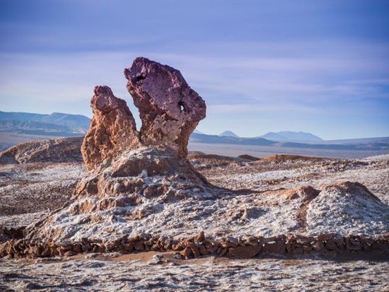 Dinosaurierkopf im Moon Valley
