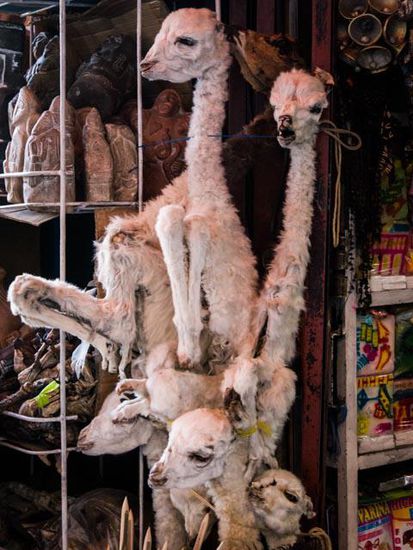 Hexenmarkt La Paz