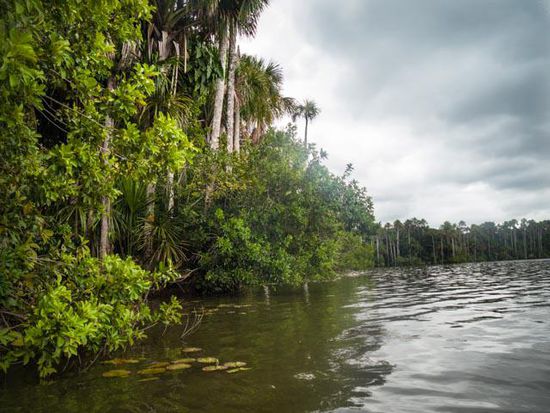 Lake Sandoval Reserve