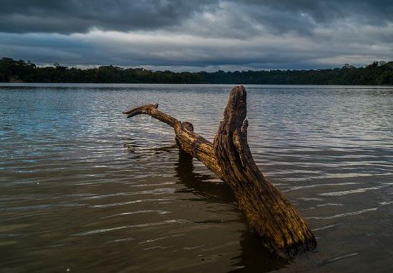 Lake Sandoval Reserve
