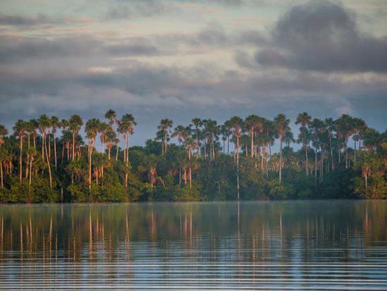 Morgenstimmung über dem Lake Sandoval Reserve