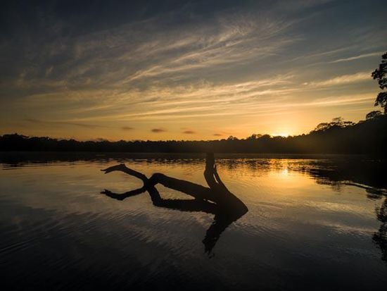 Morgenstimmung über dem Lake Sandoval Reserve