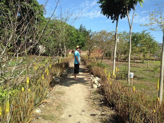 Garten in unserem Hostel