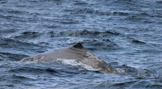 Ein wirklich lohnender Ausflug!