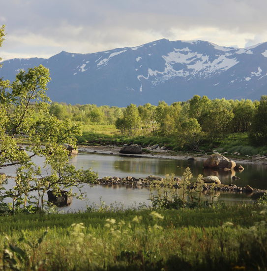 Uns hat die Landschaft hier auf den Vestralen sehr fasziniert. Auch hier waren wir drei Frauen uns einig: Die Vesteralen waren mindestens genau so schön wie die Lofoten.