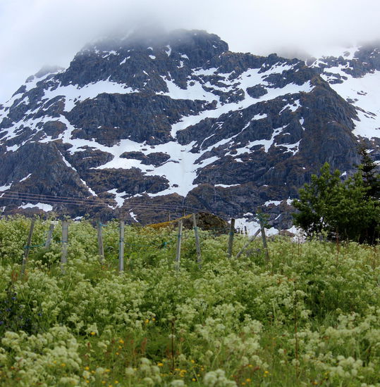 Am Nachmittag unternahm ich dann ganz alleine einen Spaziergang in der Nähe unseres Ferienhauses am Austnesfjord.