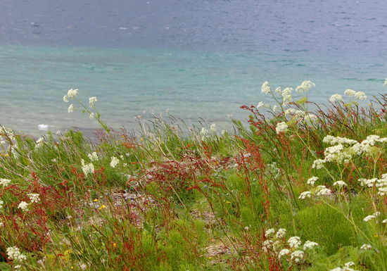 Bunte Wiesen und dahinter das türkisblaue Wasser verzauberten mich immer wieder.