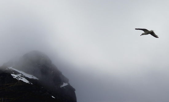 Schön ruhig war es auf dem Schiff und wir genossen den Abendhimmel über den Lofoten und den Anblick der Inseln und Fjorde, die an uns vorbeizogen. Trotzdem waren wir uns einig: Die Hurtigrute über mehrere Tage wäre nichts für uns gewesen. Aber so für ein paar Stunden und über Nacht war es absolut in Ordnung.