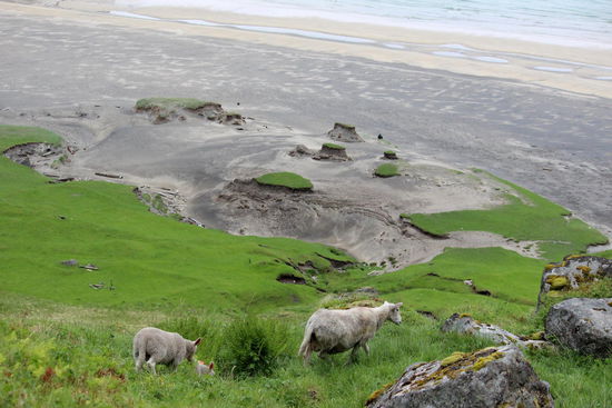In der Nähe eines improvisierten Sitzplatzes fanden wir ein Gästebuch und eine angebrochene Flasche Wiskey. Selbstverstädnlich nahmen wir einen Schluck (sonst wird er noch schlecht! ) und trugen uns ins Buch ein. Spät abends kamen wir zurück nach Ramberg und bereiteten uns dort in der Gemeinschaftsküche ein leckeres warmes Abendessen zu.