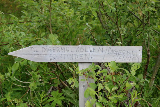 Schon zuhause hatten wir im Rahmen der Vorplanung Karten und einen Reiseführer besorgt und uns bestimmte Wanderungen ausgesucht. Heute wollte wir den Digermulkollen besteigen.