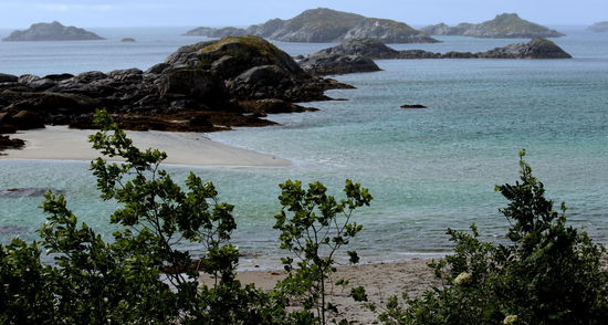 Die Straße nach Digermulen bot tolle Fotomotive auf die Küste und eine einzigartige Aussicht auf die gewaltigen Berge von Ausvågøy.
Auch konnte man das Schiff der Hurtigrute sehen, wie es unter der Rafsundbrücke hindurch fuhr.
