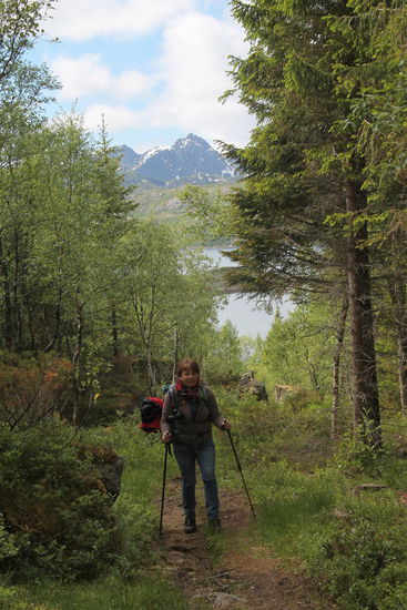 Offiziell beginnt der Weg zum Digermulkollen im Zentrum von Digermulen. Hier führt der markierte Pfad gegenüber dem alten Laden hoch auf den Berg. Wir haben allerdings einen anderen Einstieg nach dem östlichen Ende des Dorfes gegenüber eines Schotterparkplatzes gewählt. Von oben hatte man eine tolle Aussicht (Kaiserblick) auf den Raftsund, Store Molla, Årstein und zum Festland. Die Tour nach oben war leicht und dauerte ca. 1 Stunde.