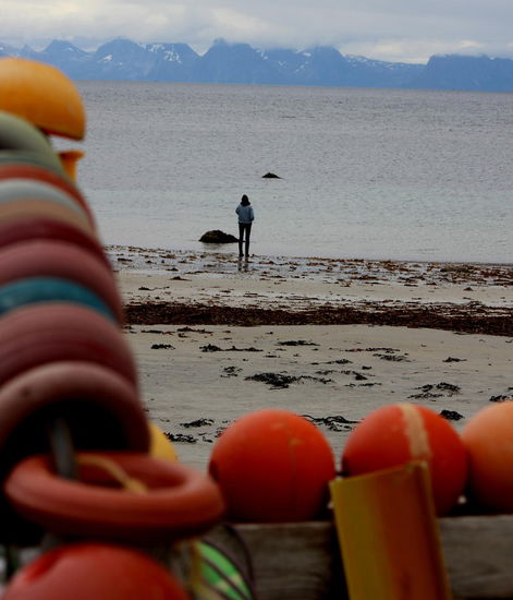 Wir erreichten pünktlich Andenes und hier mussten wir erfahren, dass die geplante Walsafari wegen der Wettervorhersagen eine ganze Stunde vorverlegt wurde. Zum Glück waren wir früh genug eingetroffen. 
Ich hatte vorher eine Tablette gegen Reiseübelkeit eingenommen und trug drei paar Hosen übereinander, Schal, Mütze und Handschuhe und natürlich die dicke Winterjacke, und ich muss sagen, dass ich die Reise auf dem Schiff in vollen Zügen genießen konnte. Ich war weder zu müde von der Tablette (das Adrenalin sorgt schon für Munterkeit) , noch habe ich geschwitzt oder gefroren.