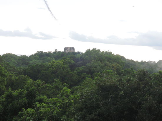 So sieht das von der Aussichtsplattform aus. Ringsherum nur Dschungel