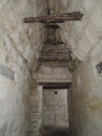 Da oben wohnen die Fledermaeuse