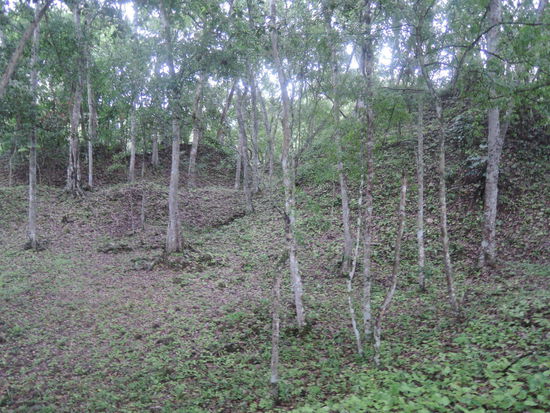 Unter diesen Huegeln befinden sich noch jede Menge Mayastaetten