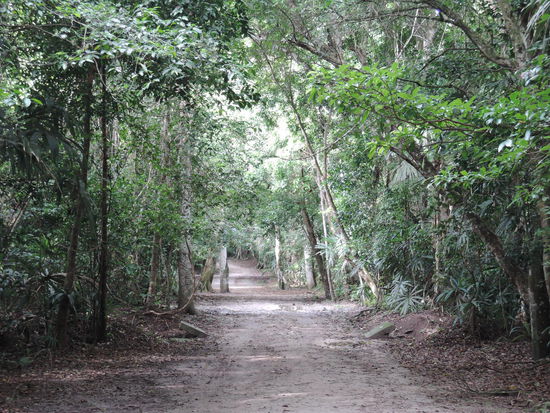 Der Weg in den Nationalpark