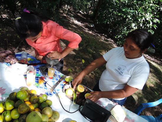 Ein frisch gepresster O-Saft gefaellig?