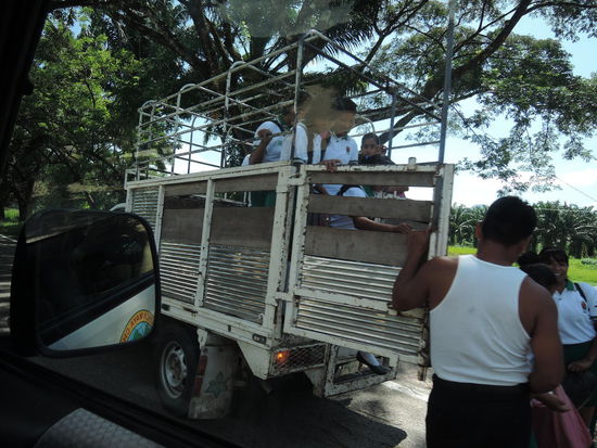 Viehtransporter - Klappe auf, Schueler rein....
