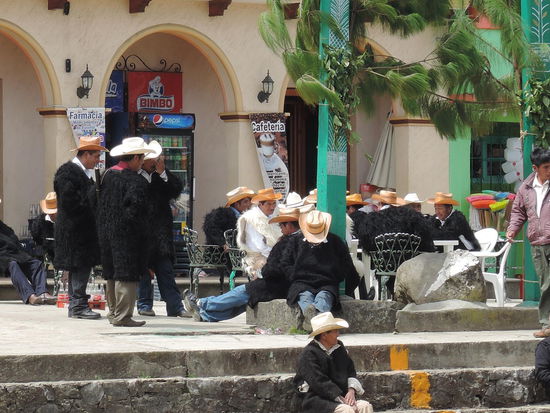 Der im weissen Fell ist wohl sowas wie ein Oberhaupt