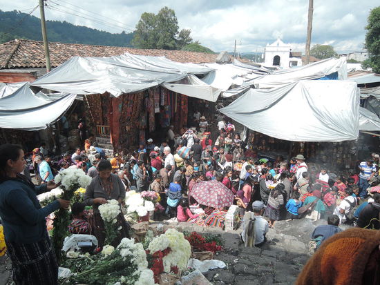 Ein winziger Teil des Marktes