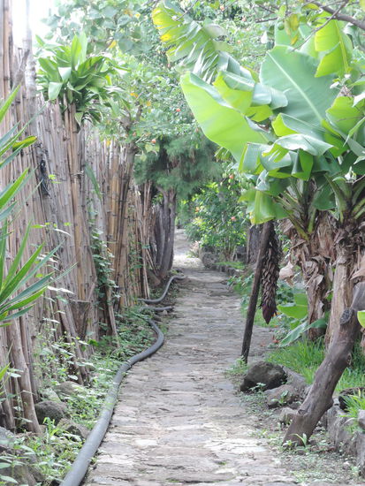 Der Weg in den Garten