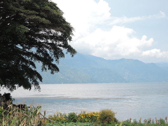 Hinterm Garten ist der See