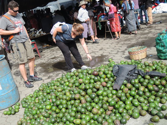 Ian und Sarah auf Avocadosuche