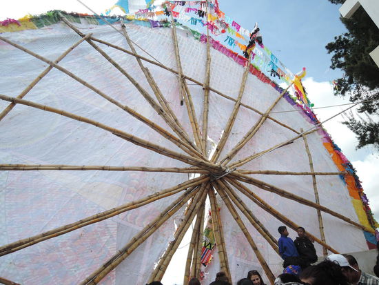 Die Drachen von hinten...