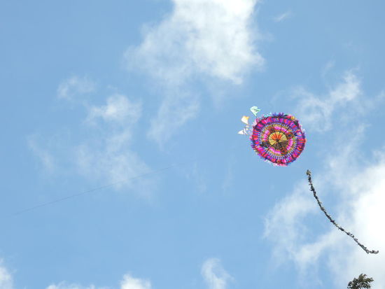 Die Kleinen schaffens auch in die Luft