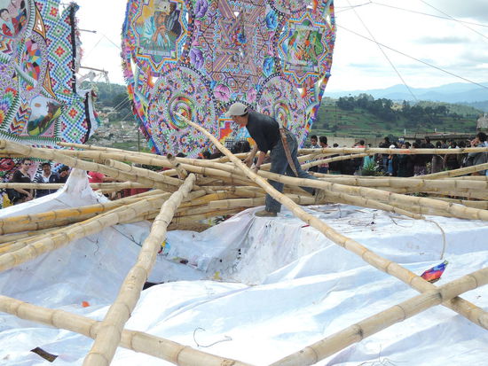 Ja, einige fallen dann auch wieder um