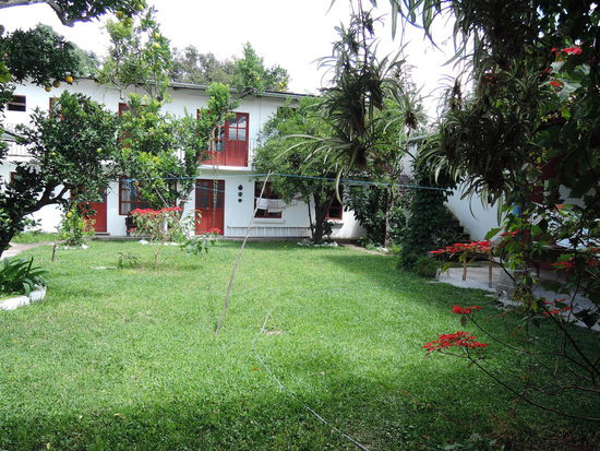 Der Garten in meiner Schule