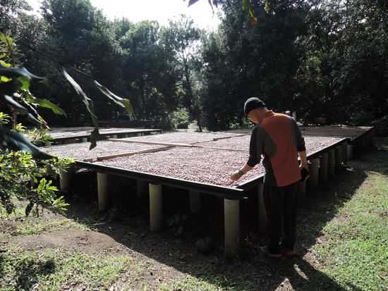 Der Fuser checkt die Nuesse