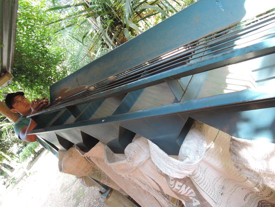 Der Jungsche hat uns den Erntevorgang erklaert