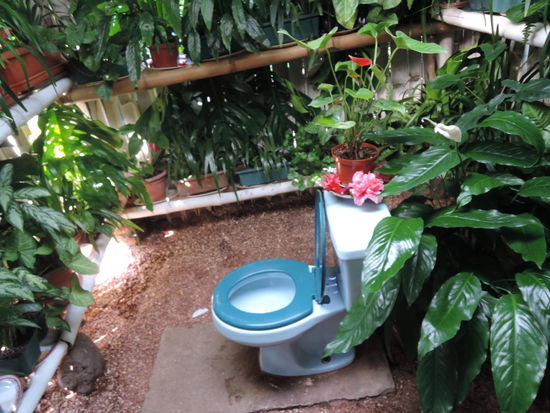 So kann ein Klo auch ausschauen