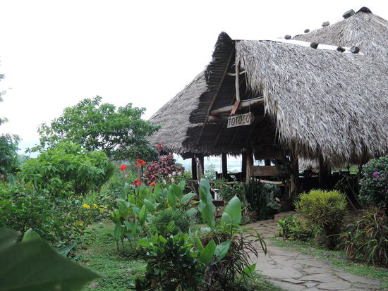 Das Hotel: Totoco Ecolodge
