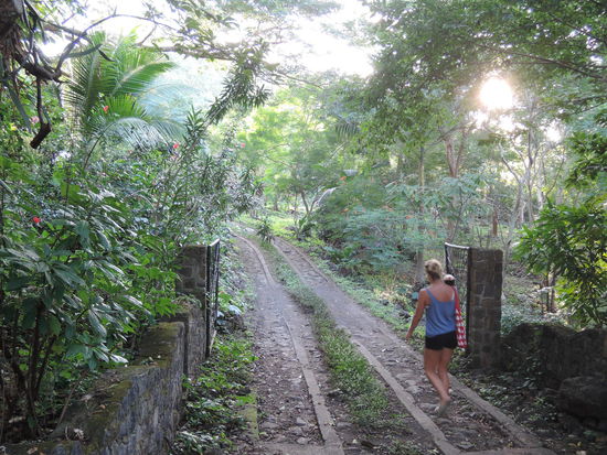 Einfahrt zur Finca