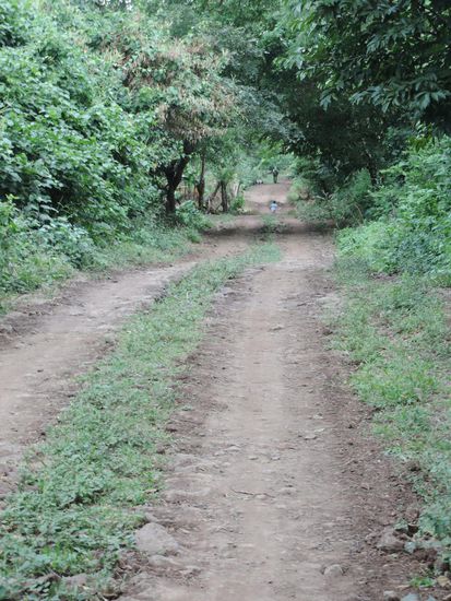 Der Weg Richtung Finca