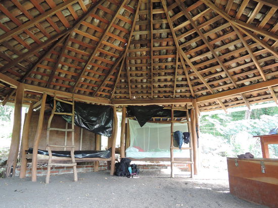 ...und innen. Rechts ist mein Bett mit Moskitonetz, damit die Spinnen nicht reinkrabbeln koennen Der Raum ist von allen Seiten offen, damit die Tiere alle durchspazieren koennen.